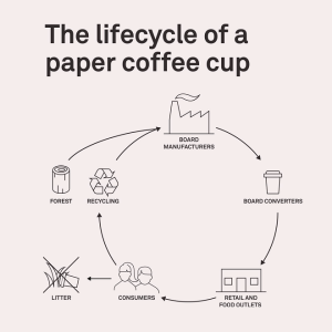 The lifecycle of coffee cup.