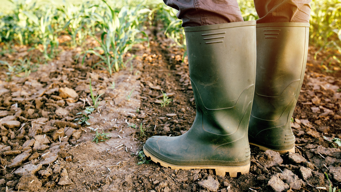 A close up of a rubber boots in a field.