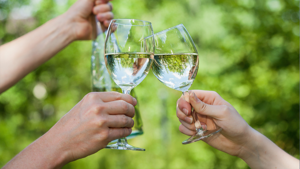 Two persons toasting with water glasses.