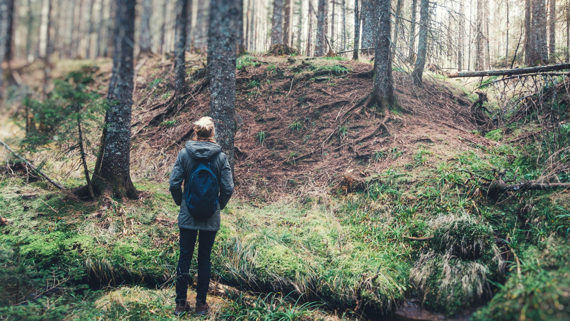 A person standing in a forest.