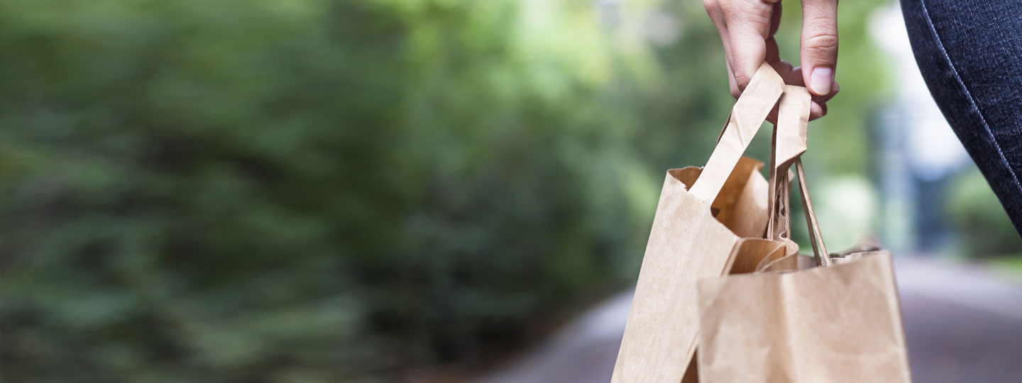 Hand holding paper bags.