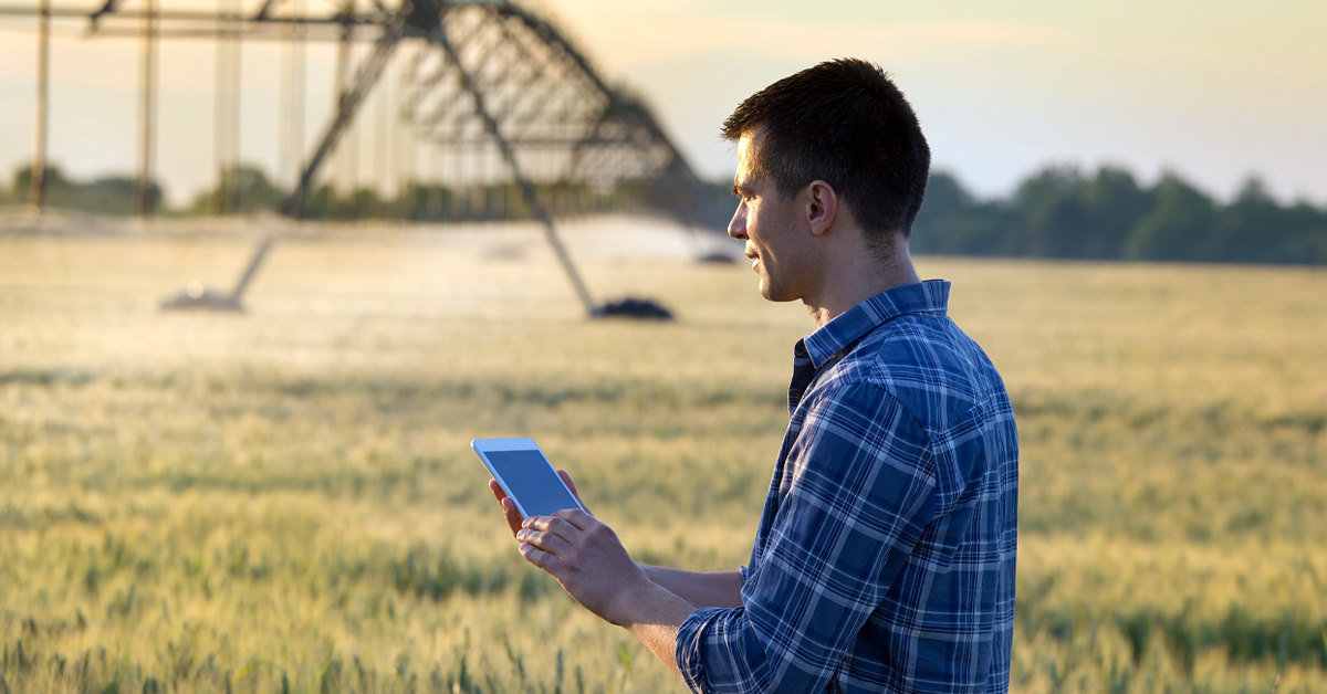 A person on a field looking at smartphone screen.