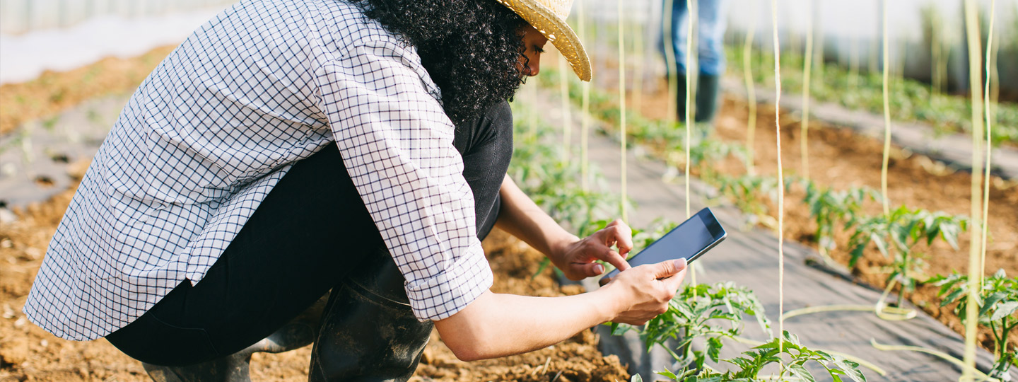 A person gardening and scrolling a phone.