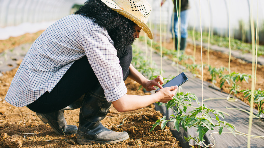 A person gardening and scrolling a phone.