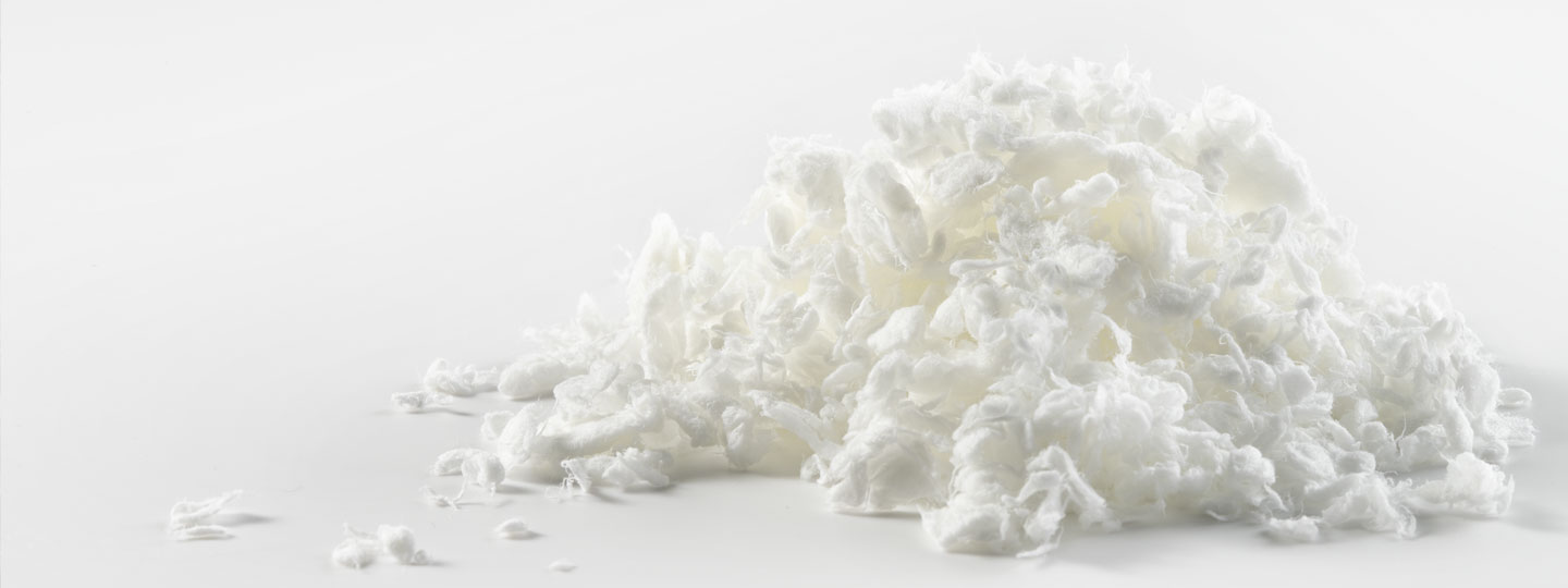 Pile of bleached pulp.