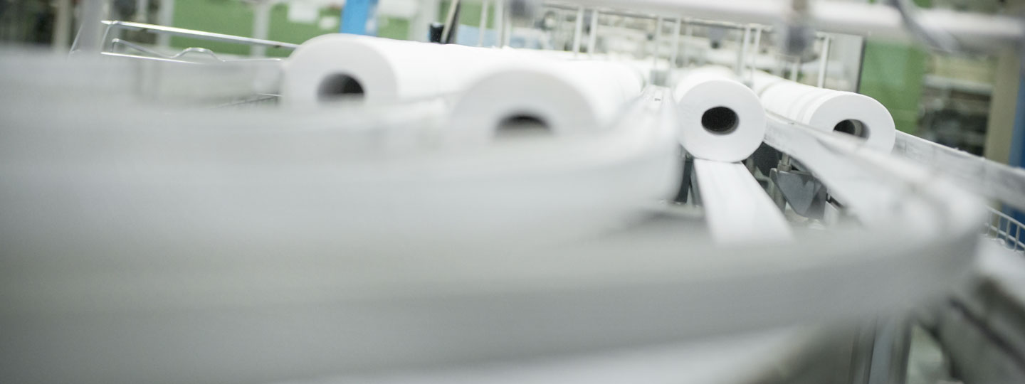 Tissue paper rolls on production line.