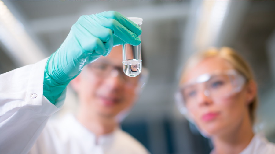 Two scientists looking at the test tube in the laboratory.