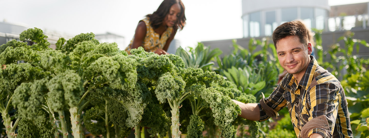 Woman and man in an urban garden.