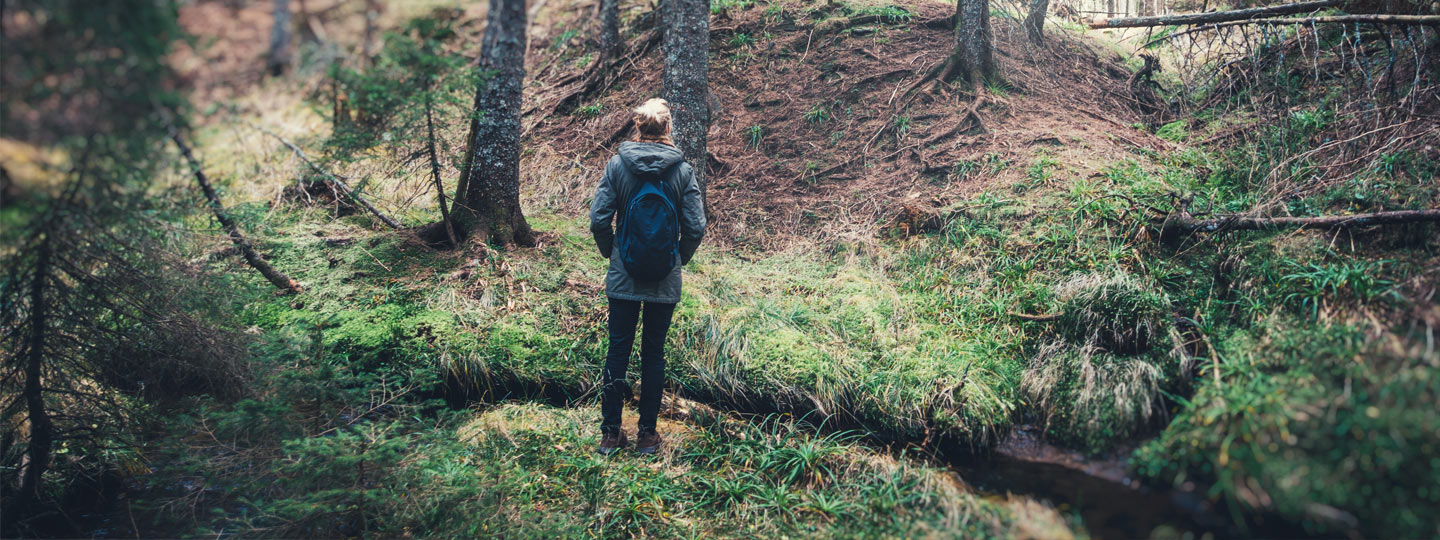 A person standing in the forest.