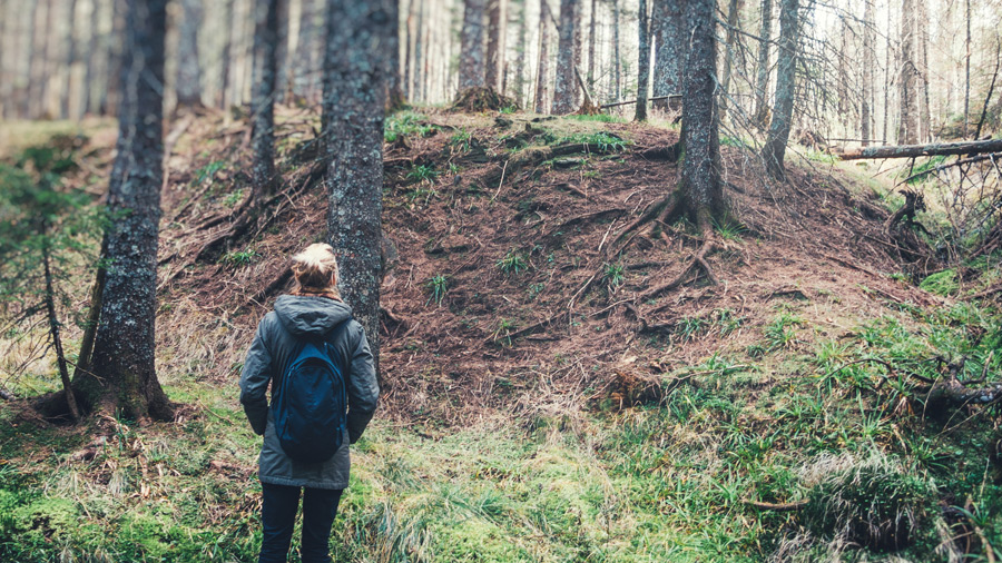 A person standing in a forest.