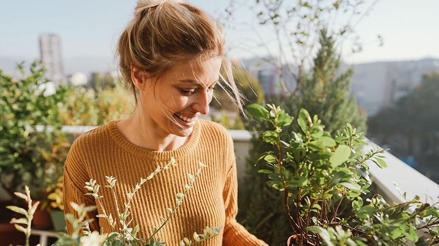 A person gardening plants.