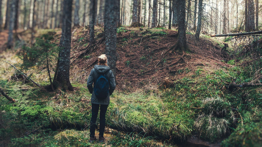 Woman with a backpack standing in a forest looking towards the sun shining through the trees.