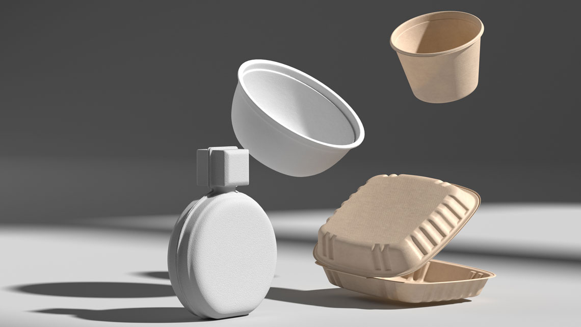 3d models of molded fiber packaging