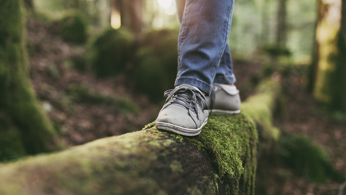 Person walking on top of a log in woods.