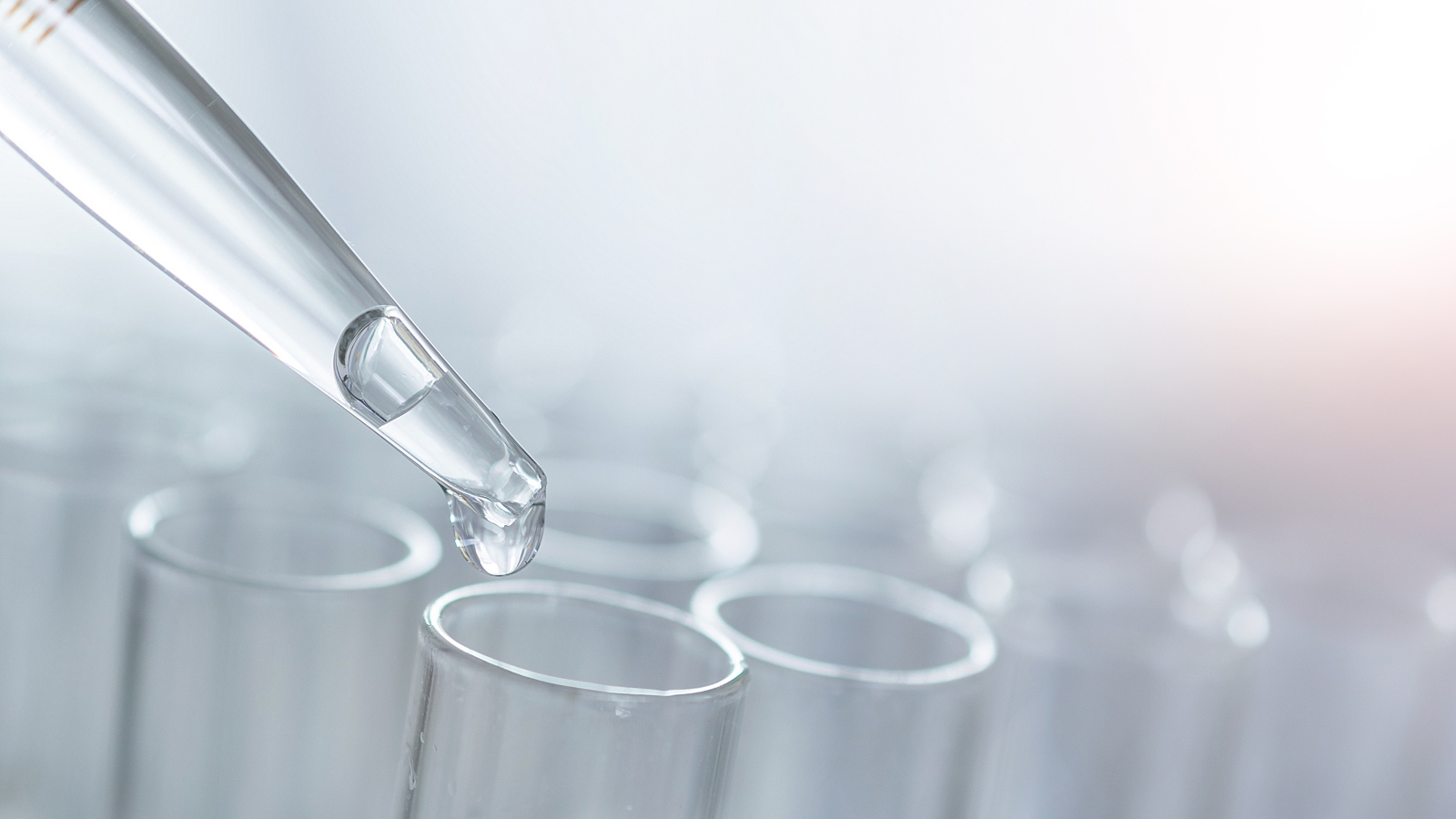 Laboratory pipette dispensing liquid into test tubes during scientific analysis.