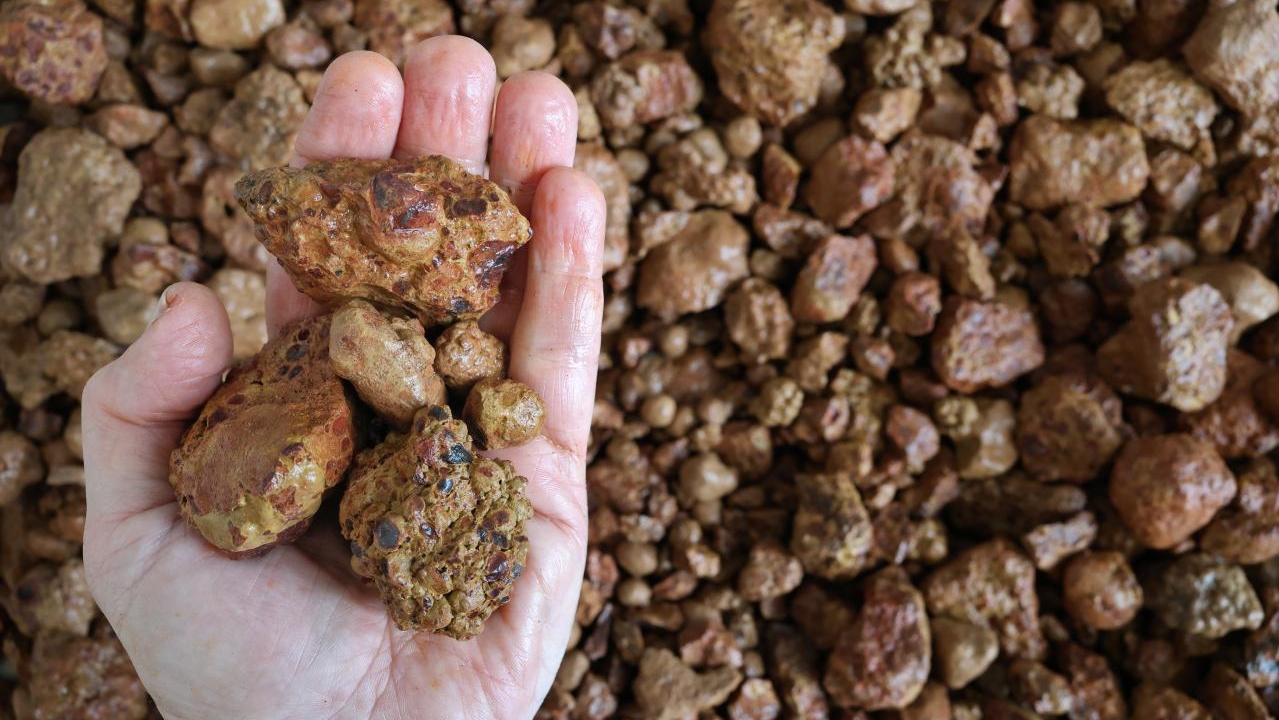 Open hand holding bauxite ore. Mined for production of alumina, from which aluminium (aluminum) is produced.
